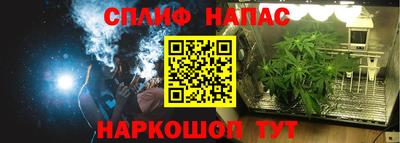 крисы Бузулук
