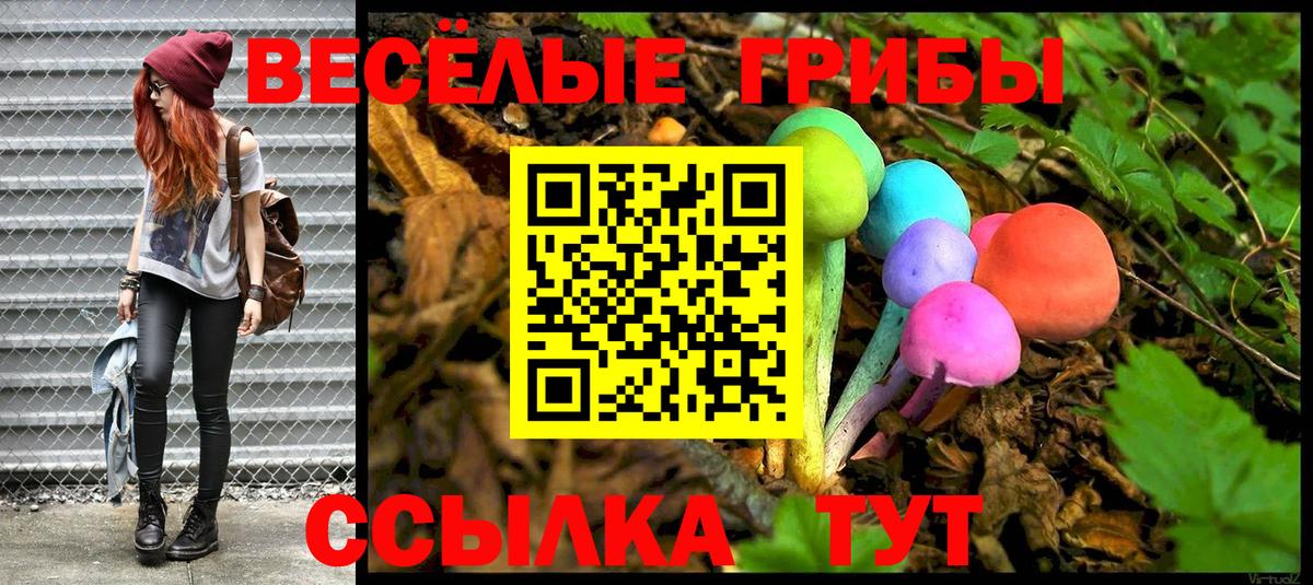 Галлюциногенные грибы GOLDEN TEACHER  Вход с VPN  хочу   Рузаевка 